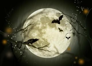 Scary moon with bats flying in front