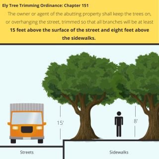 Tree Trimming Requirements